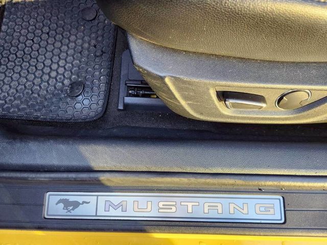 FORD福特 MUSTANG  第12張相片