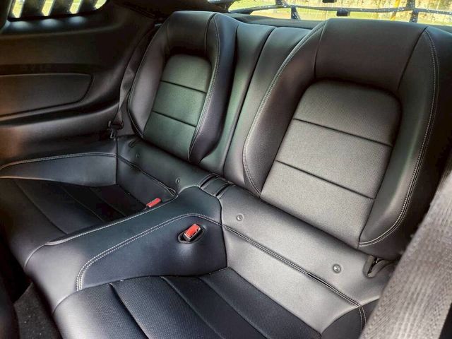 FORD福特 MUSTANG  第14張相片