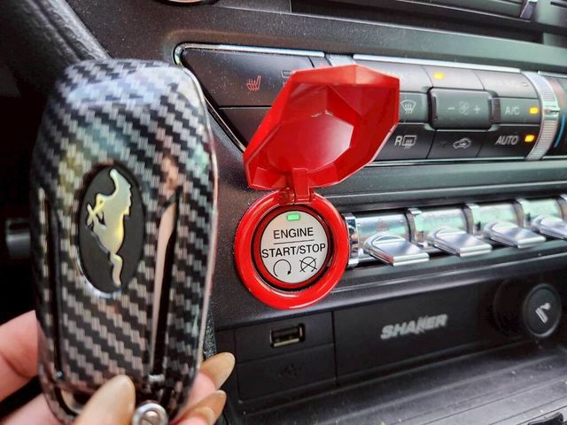 FORD福特 MUSTANG  第19張相片