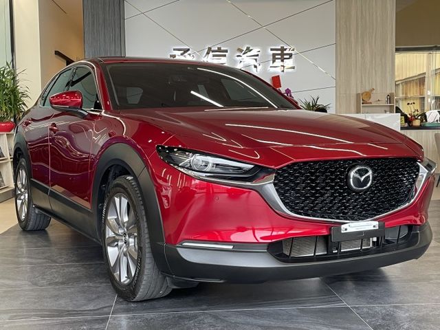 Touring版/ACC/方向盤維持/車偏/防滑/盲點/倒車顯影/電尾門/CarPlay/摸門  第1張相片