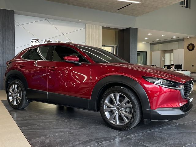 Touring版/ACC/方向盤維持/車偏/防滑/盲點/倒車顯影/電尾門/CarPlay/摸門  第3張相片