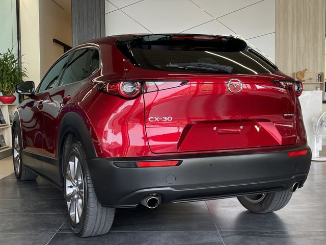 Touring版/ACC/方向盤維持/車偏/防滑/盲點/倒車顯影/電尾門/CarPlay/摸門  第4張相片