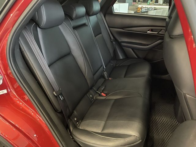 Touring版/ACC/方向盤維持/車偏/防滑/盲點/倒車顯影/電尾門/CarPlay/摸門  第9張相片