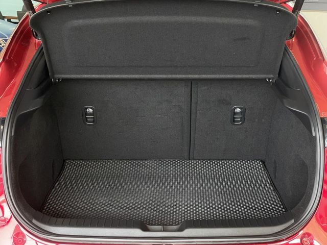 Touring版/ACC/方向盤維持/車偏/防滑/盲點/倒車顯影/電尾門/CarPlay/摸門  第10張相片