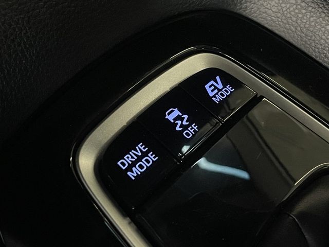 尊爵版/一年僅跑7500/ACC跟車/車偏/防滑/盲點/倒車顯影/模式切換/摸門/原廠保固  第17張相片