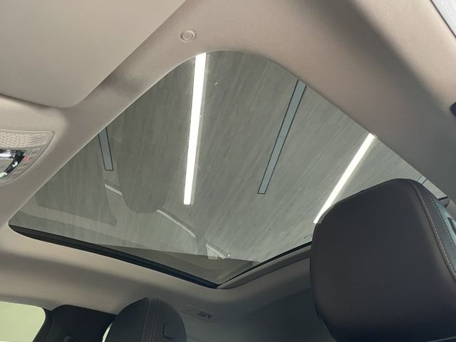 總代理/市場稀有車款/AMG套件/P20駕駛輔助/環景/陡坡緩降/雙前電動記憶加熱椅/電尾門/全景天窗/原廠保固  第19張相片