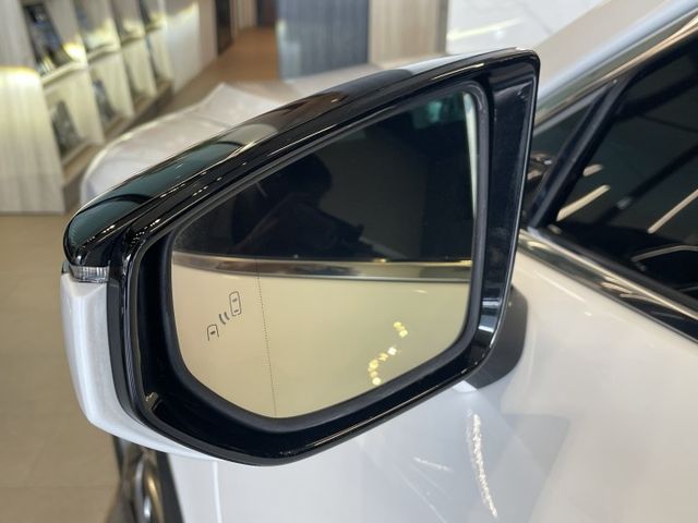 F Sport/ACC/車偏警示/盲點/倒車顯影/換檔撥片/雙前電動加熱跑車椅/模式切換  第19張相片
