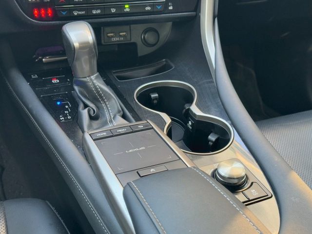保證實車實價 / RX300 豪華版 / 盲點偵測 / 車道偏移 / 環景 / 免鑰匙啟動 / 電動尾門  第8張相片