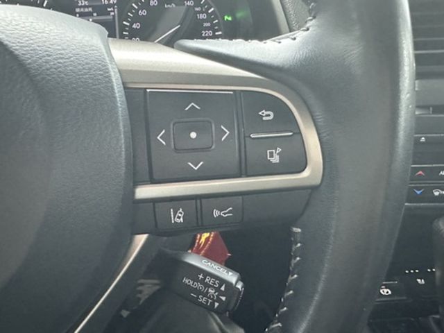 LEXUS凌志 RX300  第11張相片