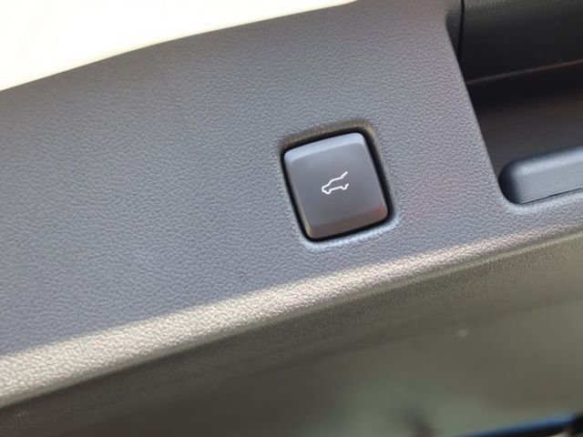 會長の店認證車/新車保固中～新車價120幾萬2.0 ST/大滿配/只跑3萬公里./ACC跟車/360度環景/腳踢電尾門  第18張相片