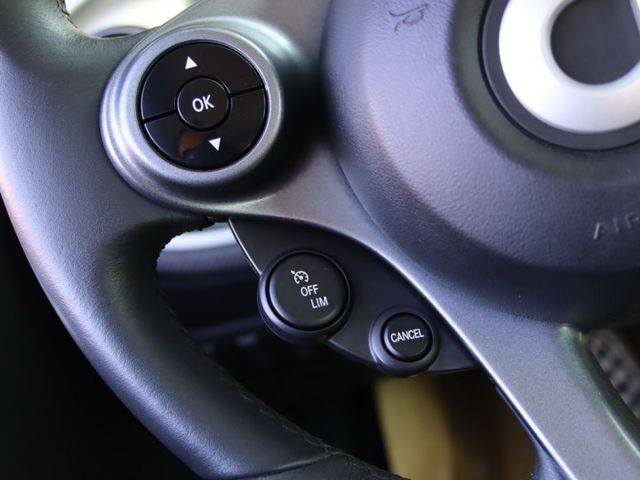 會長の店認證車/五重送專案☆總代理最頂級小改款PASSION 1.0‧自用保證跑6萬公里‧四安+安卓大螢幕  第8張相片