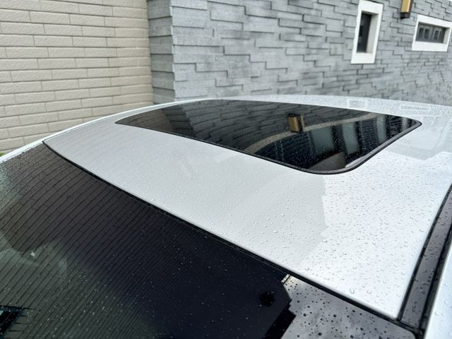 旗艦(最頂)天窗 音控 免鑰匙 定速 自動頭燈 倒顯【可貸款】車況讚！現場看車保證價格再下殺！100%實車在店 實價不變  第20張相片