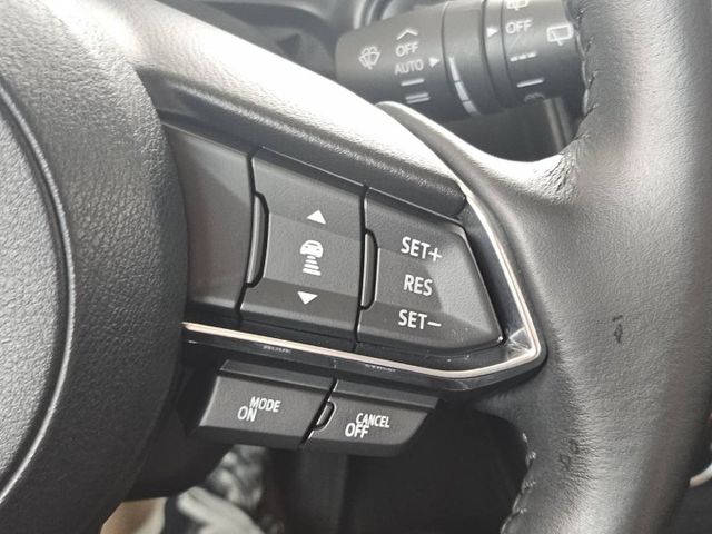 /高質感跨界小休旅/原鈑件/ACC自動跟車/抬頭顯示/原廠保養/BOSE音響  第11張相片