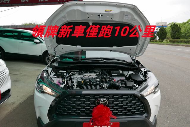 全新領牌車只跑10公里 ACC跟車系統 車道偏移 倒車顯影 CARPLAY 原廠保固中 I-KEY  第18張相片