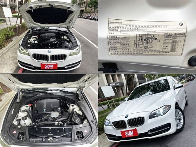 5 SERIES SEDAN F10  第19張相片