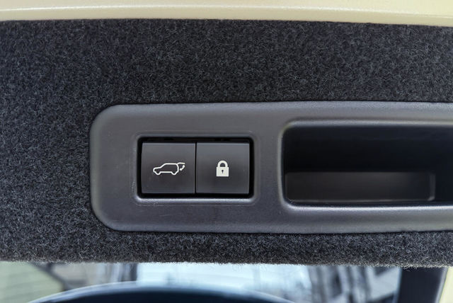 LEXUS凌志 RX300  第13張相片