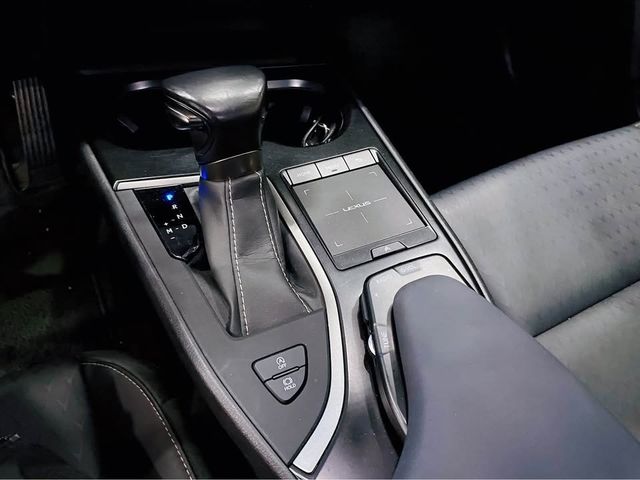 LEXUS凌志 UX200  第6張相片