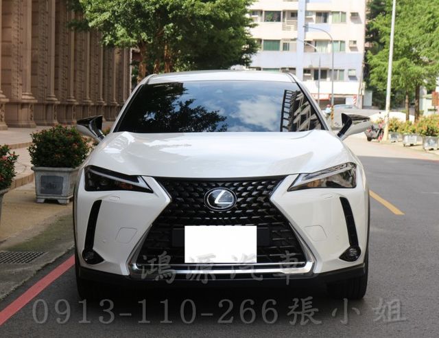 UX250h /ACC/盲點/倒車顯影/電動座椅/電尾門/原廠保固中  第1張相片