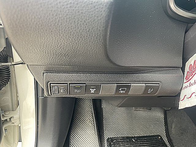 頭大大神車尊爵版有自動切換近遠光.盲點.環景I-KEY跟車安卓機搶手白  第13張相片