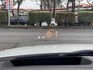 BMW/ 寶馬  4 SERIES  420i M Sport  第14張縮圖