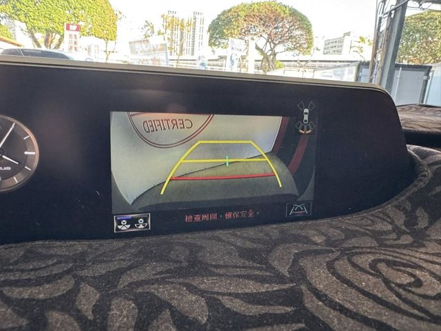 Lexus  UX250h  第11張相片