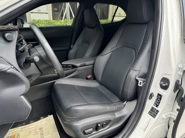 Lexus  UX250h  第5張相片