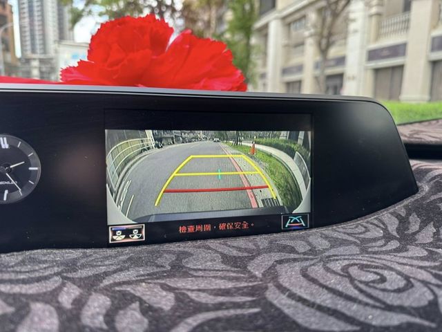 Lexus  UX250h  第11張相片