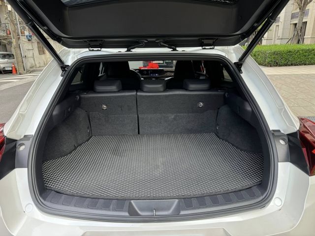 Lexus  UX250h  第18張相片