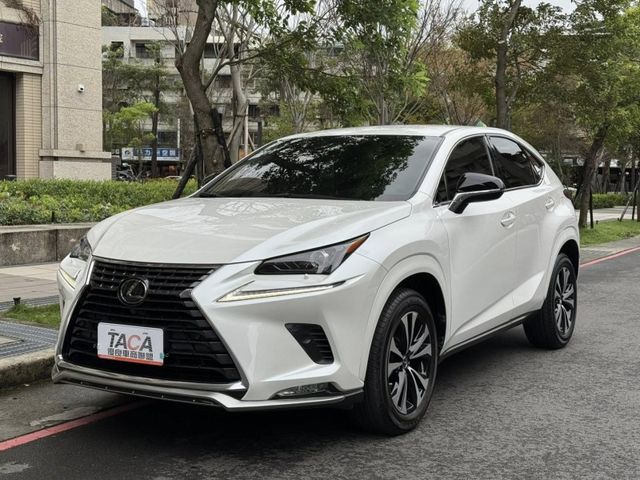 Lexus  NX  第25張相片