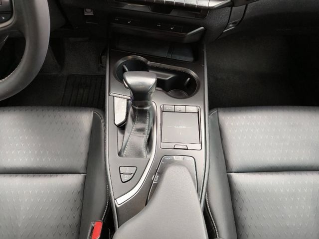 LEXUS凌志 UX200  第9張相片