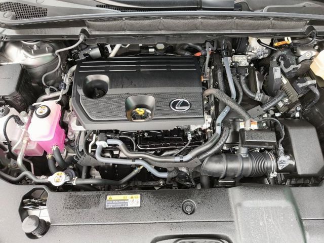 LEXUS凌志 RX350H  第6張相片