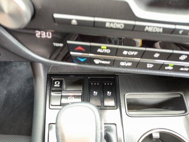 LEXUS凌志 RX300  第15張相片