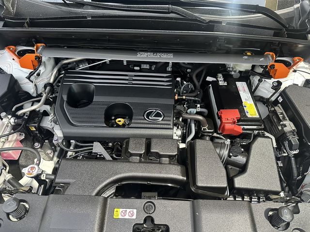 LEXUS凌志 NX200  第6張相片