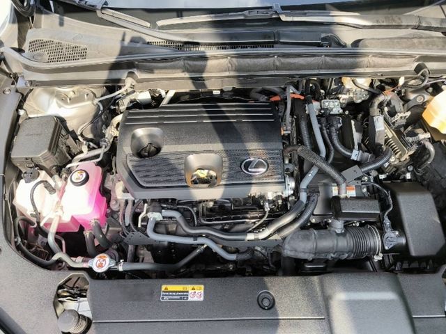 LEXUS凌志 RX350H  第6張相片