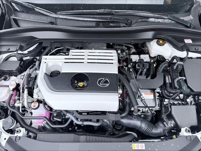 LEXUS凌志 UX250H  第6張相片