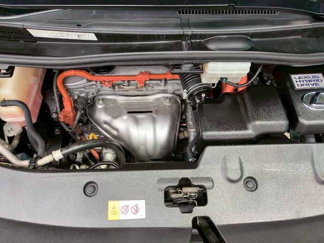 LEXUS凌志 LM300H  第6張相片