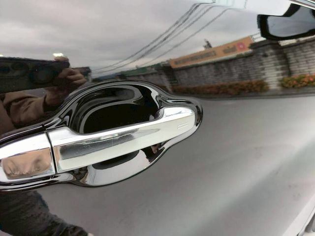 LEXUS凌志 LM300H  第15張相片