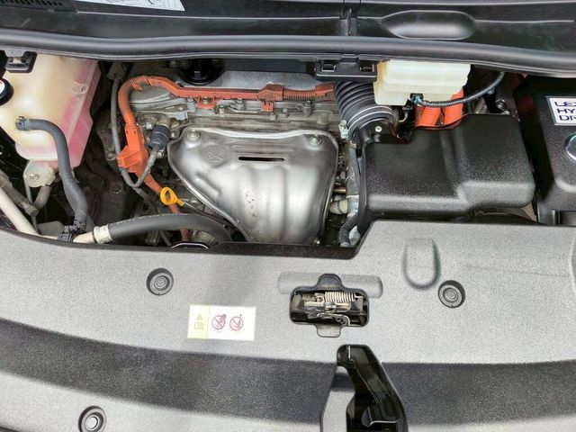 LEXUS凌志 LM300H  第6張相片