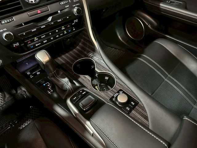 LEXUS凌志 RX300  第11張相片