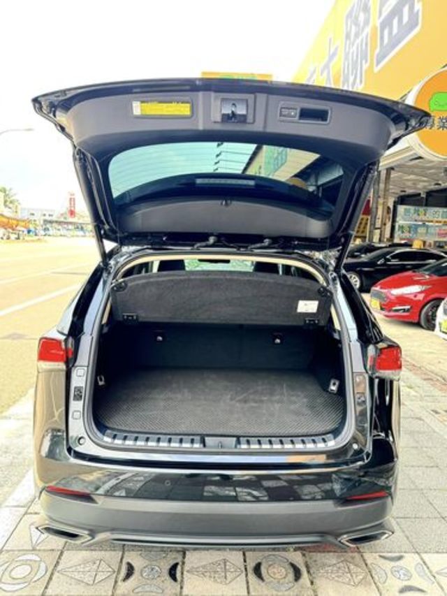 LEXUS凌志 NX300  第16張相片
