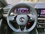 2024 Skoda Kamiq 1.0 TSI冠軍版/僅行駛5千公里/新車原廠保固中/可全額貸款/可線上視訊賞車  第15張縮圖