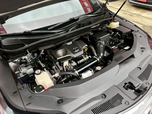 2019 頂級版 RX300 2.0 超低里程 僅行駛5萬多公里 市場稀有 可全額貸款 可線上視訊賞車  第7張相片