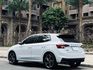 FABIA  第2張縮圖