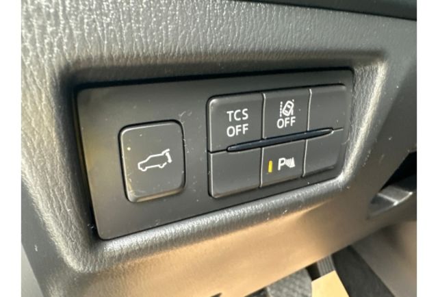 電動尾門 全車消光貼 LED頭燈 女用車 BOSE音響系統  第15張相片