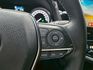 BSM盲點 雙邊電動椅 CARPLAY 摸門解鎖  倒車顯影 LED頭燈 LED日行燈 ACC全速域跟車  第18張縮圖