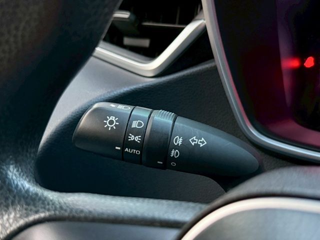 豪華版 全速域ACC跟車 AEB緊急煞停 恆溫空調 電動收折 LED日行燈 AHB智慧遠光燈 中控螢幕 國道即時路況查詢  第14張相片