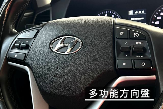 尊貴渦輪版/多功能車機/倒車顯影/定速巡航/分區控溫/行車紀錄器/駕駛模式  第8張相片