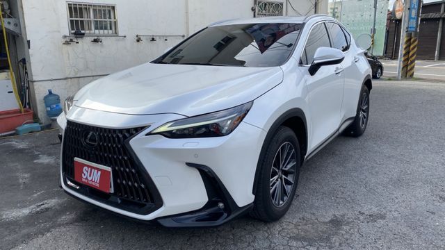極高妥善率!最強豪華休旅車~實車實價刊登!店洽小何0966427962  第1張相片