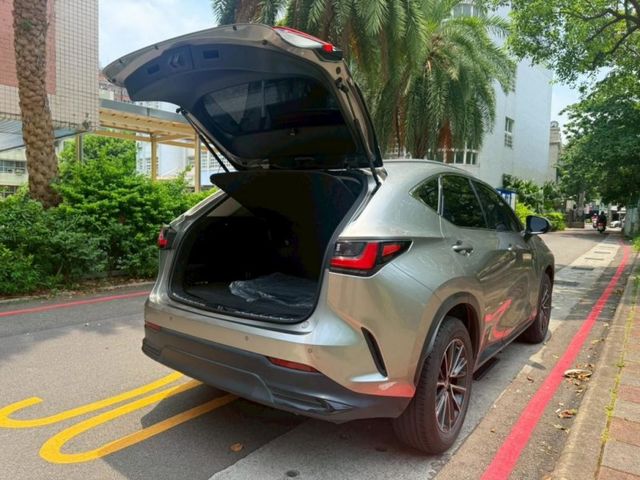 Lexus  NX  第6張相片