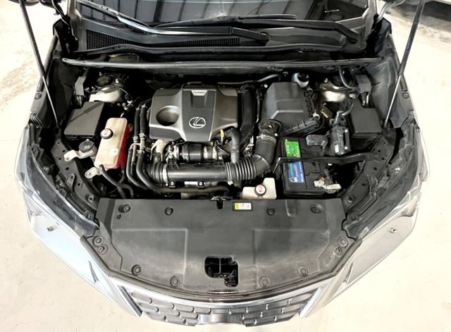 LEXUS凌志 NX300  第6張相片